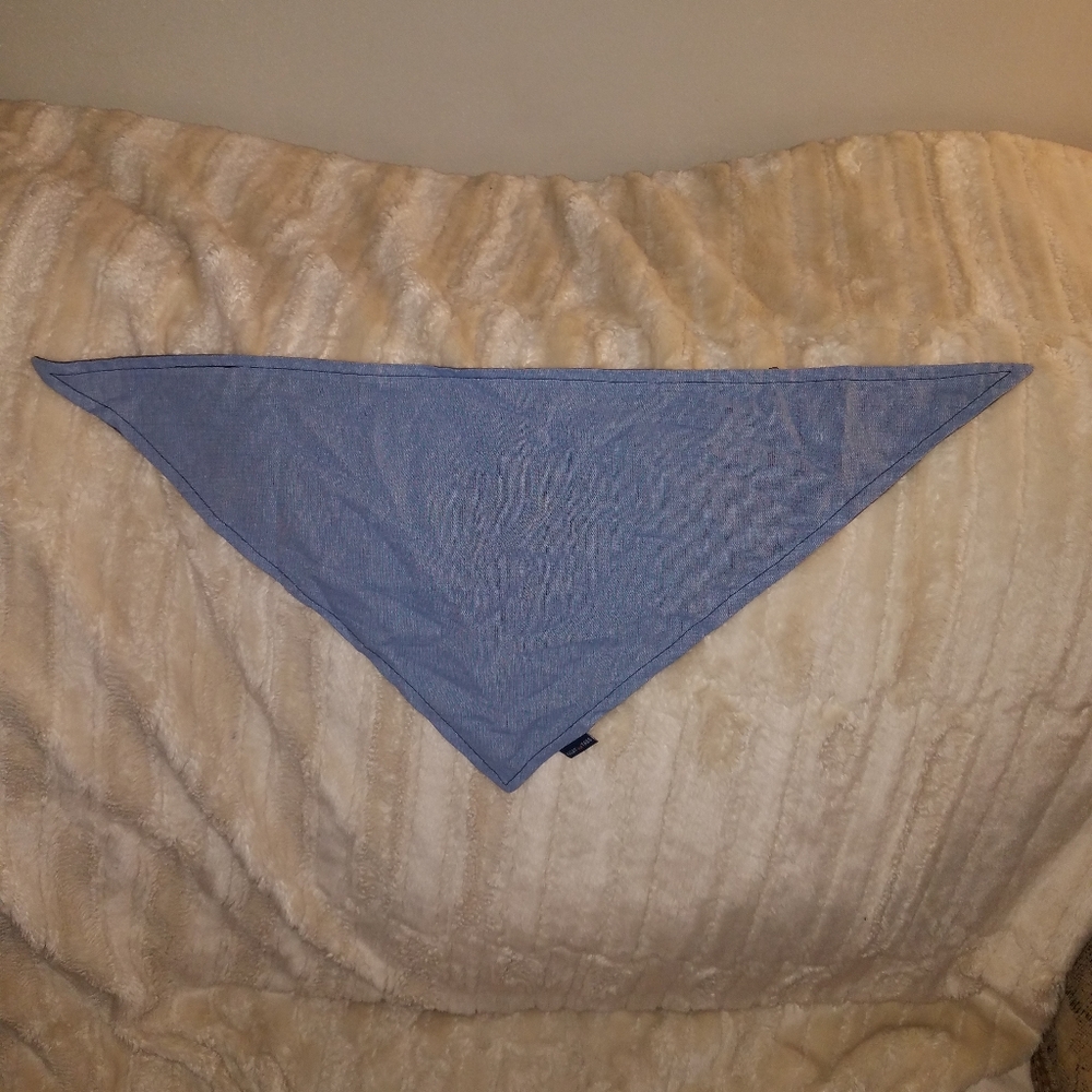 Coat and Tails bandana size S/M